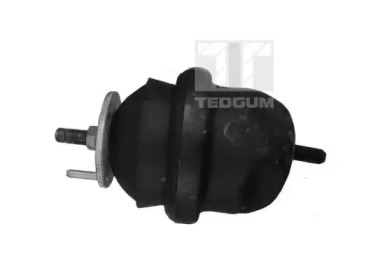 TEDGUM 00231034 -