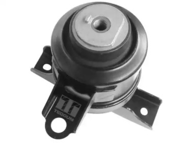 TEDGUM 00233614 -  
