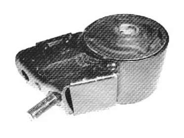 TEDGUM 00233657 -