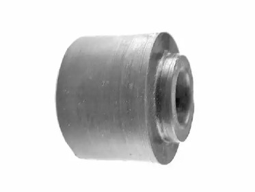 TEDGUM 00233866 -