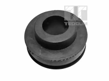 TEDGUM 00236930 -