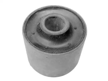 TEDGUM 00243254 -  