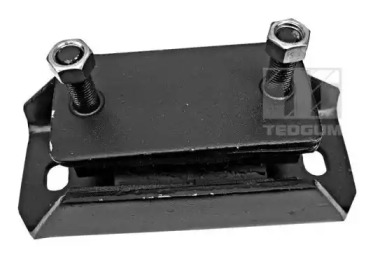 TEDGUM 00300649 - Подвеска, двигатель