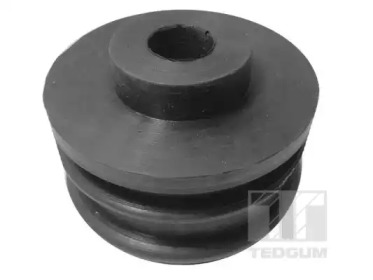 TEDGUM 00307312 -  