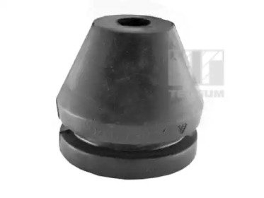 TEDGUM 00410318 - Подвеска, двигатель