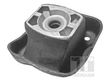 TEDGUM 00410391 - Подвеска, двигатель