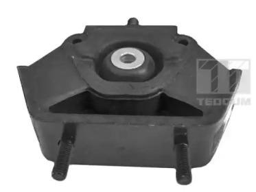 TEDGUM 00410433 -