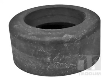 TEDGUM 00410496 -