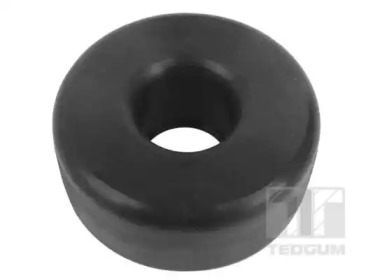 TEDGUM 00413606 -