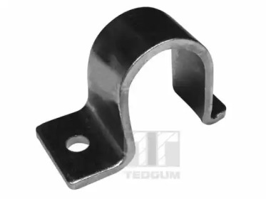 TEDGUM 00415679 -