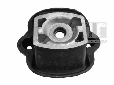 TEDGUM 00415892 - Подвеска, двигатель