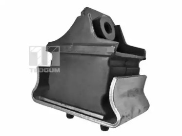 TEDGUM 00416326 -  Подвеска, двигатель