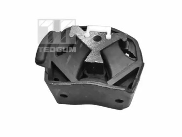 TEDGUM 00416328 -  Подвеска, двигатель