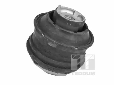 TEDGUM 00416461 -  Кронштейн, подвеска двигателя