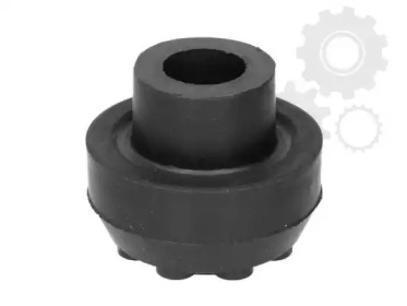 TEDGUM 00416547 -