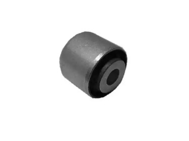TEDGUM 00417628 -  