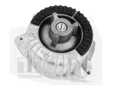 TEDGUM 00418473 -  Подвеска, двигатель