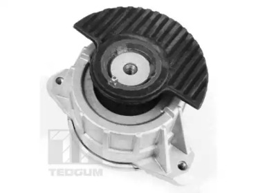 TEDGUM 00418476 -  Подвеска, двигатель