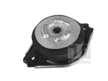 TEDGUM 00418536 -  Подвеска, двигатель