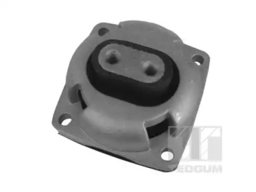 TEDGUM 00418581 -  Подвеска, автоматическая коробка передач
