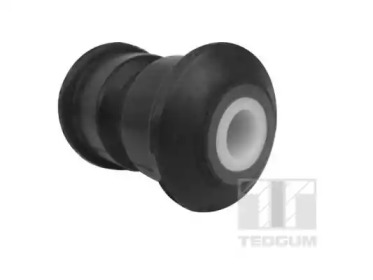 TEDGUM 00418819 -  Втулка, листовая рессора