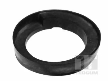 TEDGUM 00466219 -  Подвеска, двигатель