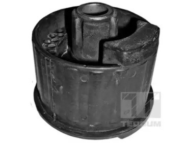 TEDGUM 00500147 - Кронштейн, подвеска двигателя