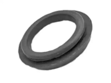 TEDGUM 00500564 -
