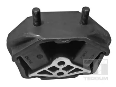 TEDGUM 00500614 - Кронштейн, подвеска двигателя