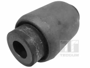 TEDGUM 00502040 -