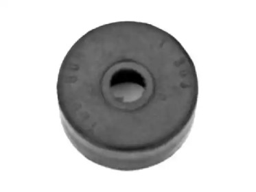 TEDGUM 00503731 -