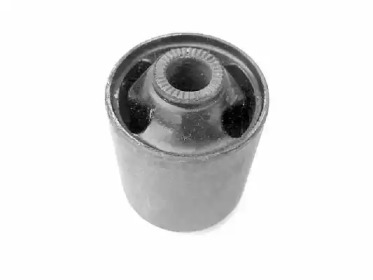 TEDGUM 00504565 -