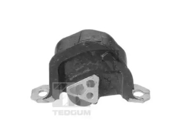 TEDGUM 00504607 - Кронштейн, подвеска двигателя