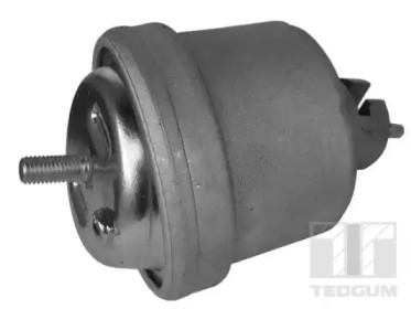 TEDGUM 00504644 -  Кронштейн, подвеска двигателя