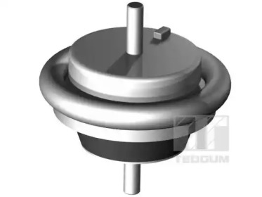 TEDGUM 00504650 - Подвеска, двигатель