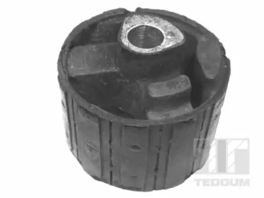 TEDGUM 00504695 - Кронштейн, подвеска двигателя