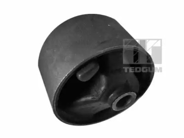 TEDGUM 00504704 -  Кронштейн крепения двигателя