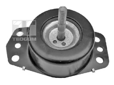 TEDGUM 00505737 -  Подвеска, двигатель