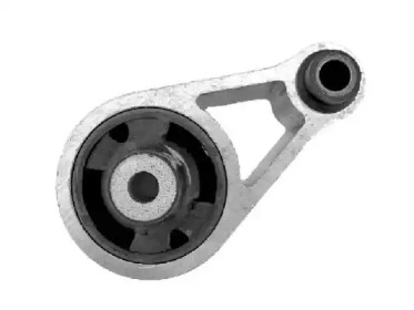 TEDGUM 00505741 -