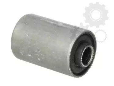 TEDGUM 00506437 -