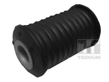 TEDGUM 00507438 -
