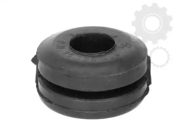 TEDGUM 00507452 -