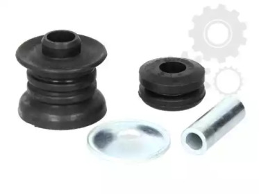 TEDGUM 00507481 -