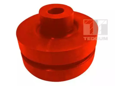 TEDGUM 00507902 -