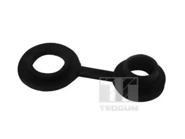 TEDGUM 00508172 -