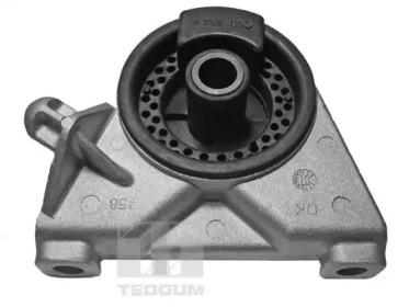 TEDGUM 00509064 - Подвеска, двигатель