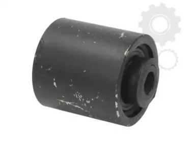 TEDGUM 00509662 -