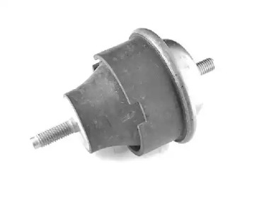 TEDGUM 00513941 -