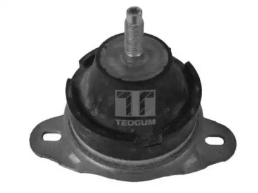 TEDGUM 00514176 -  Кронштейн, подвеска двигателя