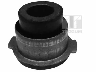 TEDGUM 00515795 -  Шарнирный кронштейн, подвеска двигателя